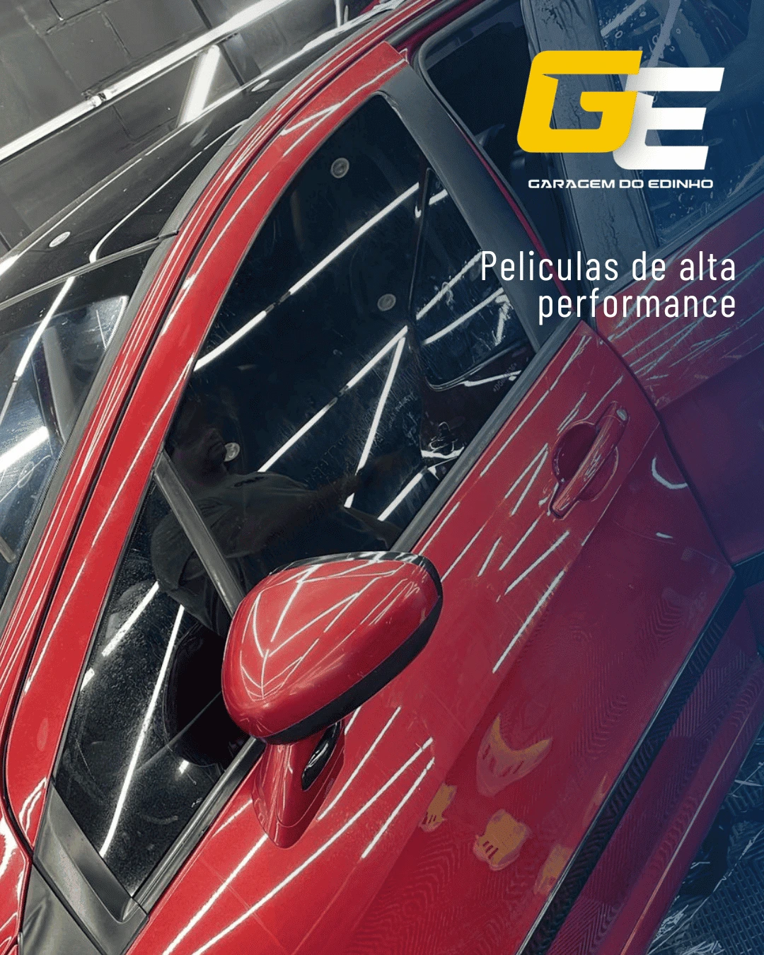 Proteção e Privacidade